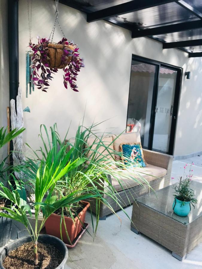Bungle In The Jungle Apartment Panamá Екстериор снимка