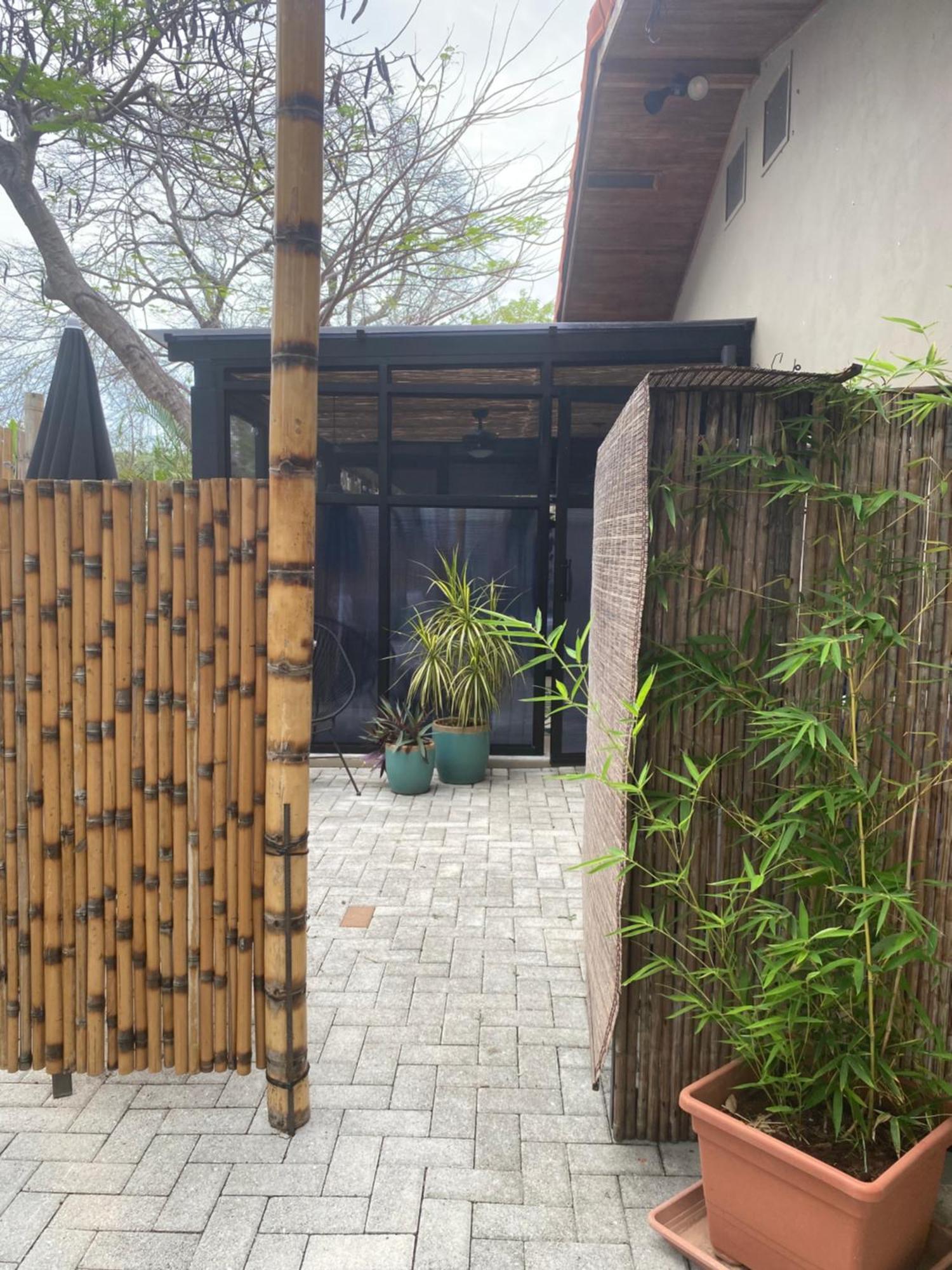 Bungle In The Jungle Apartment Panamá Екстериор снимка